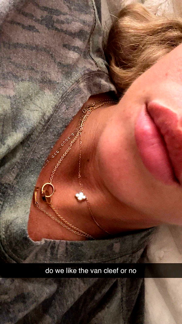 bellarenaldii image ~ Altpins