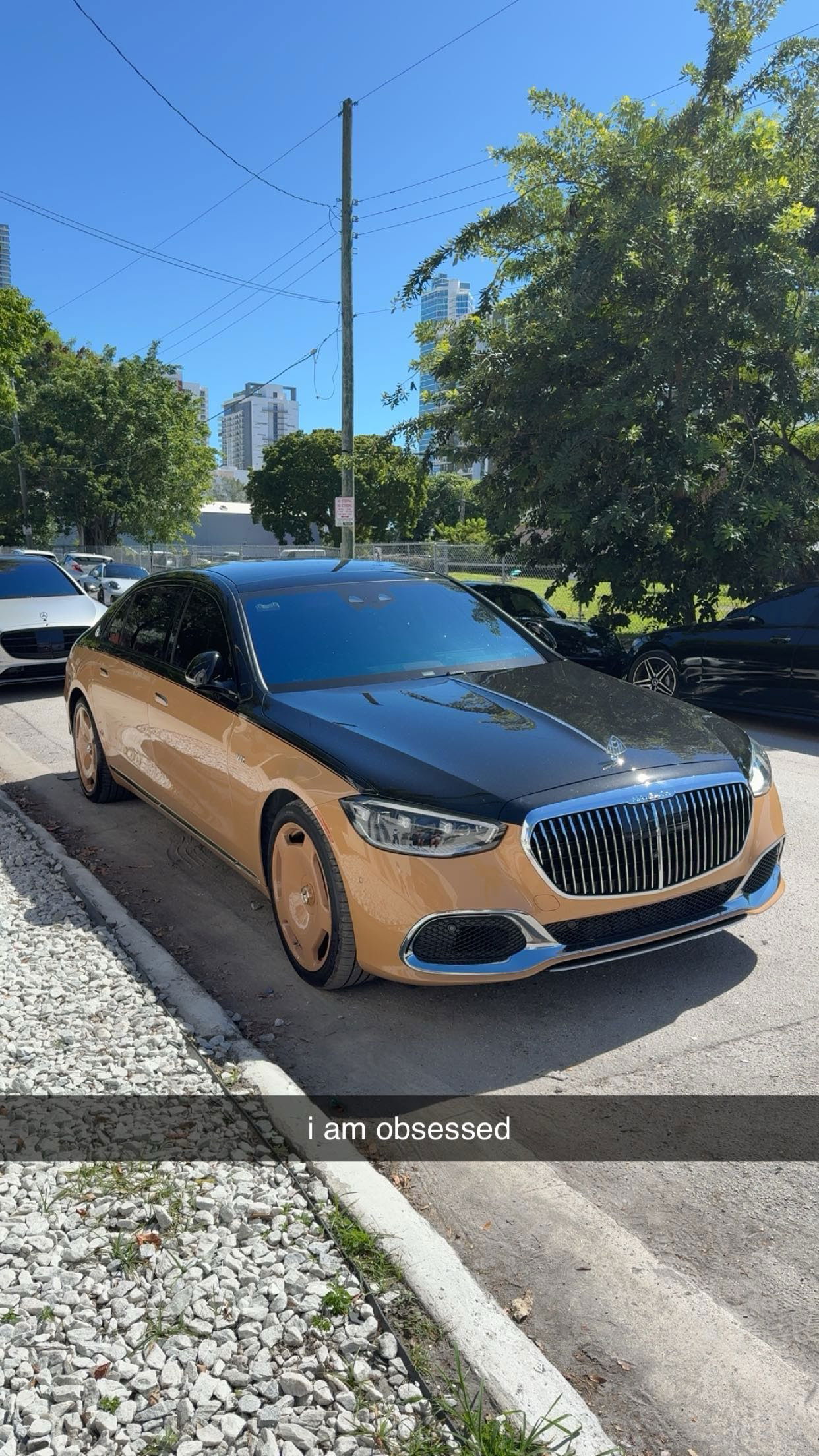 bellarenaldii snapchat image archive image