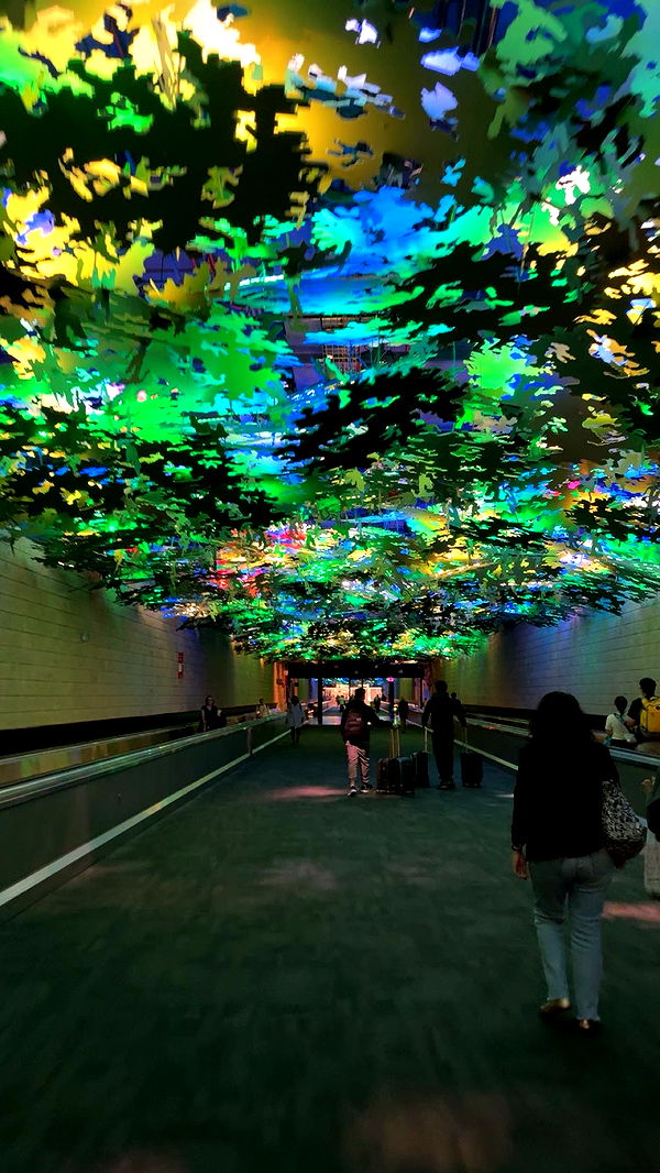 bellarenaldii image ~ Altpins