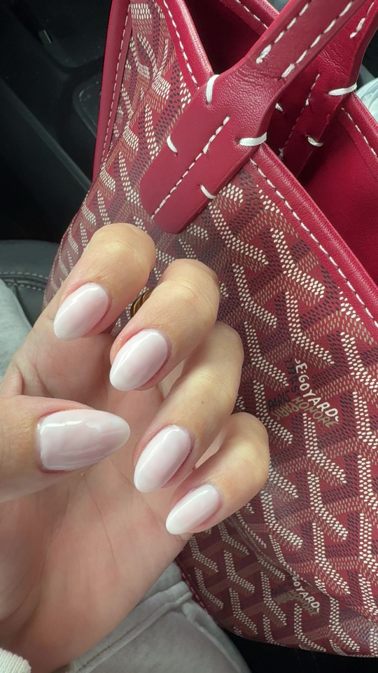 bellarenaldii snapchat image archive image