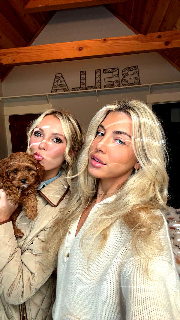 bellarenaldii image ~ Altpins