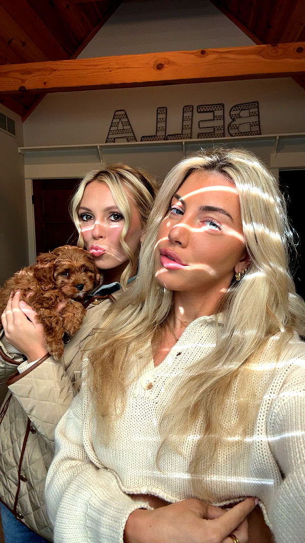 bellarenaldii image ~ Altpins