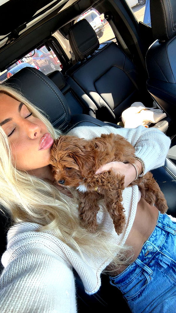 bellarenaldii image ~ Altpins