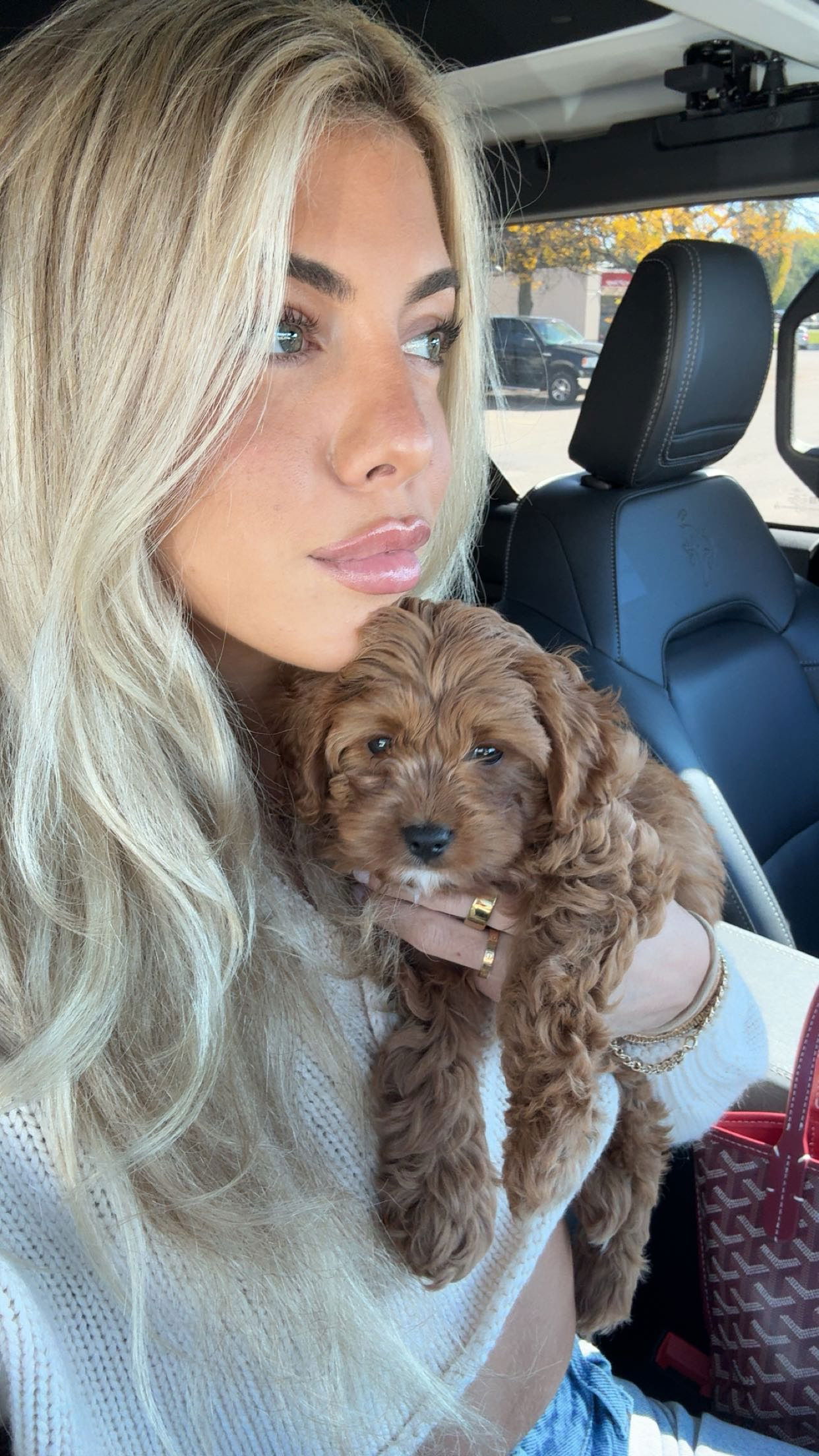 bellarenaldii snapchat image archive image