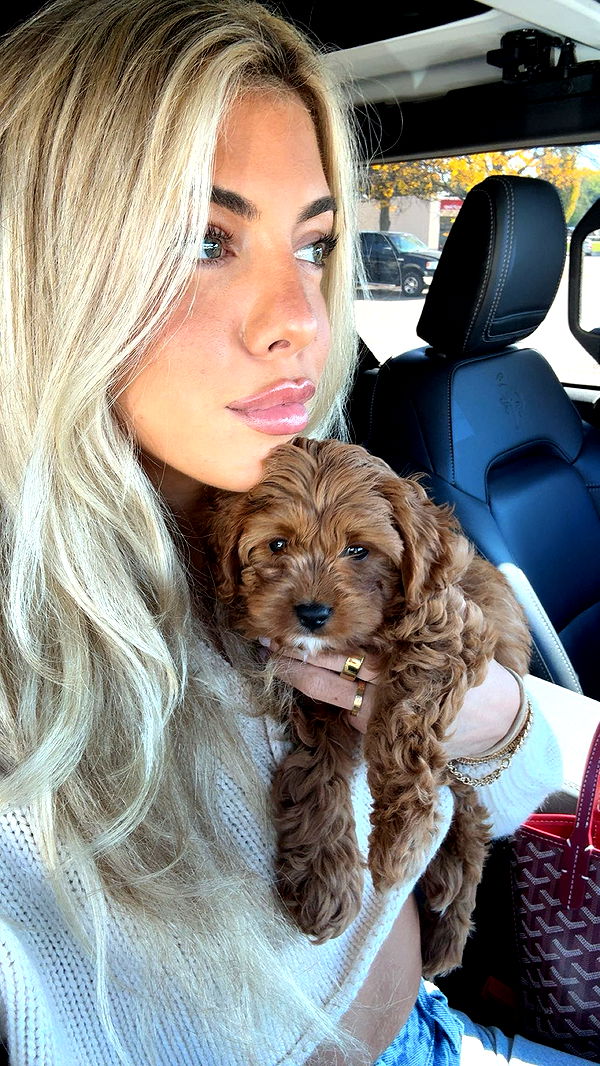 bellarenaldii image ~ Altpins