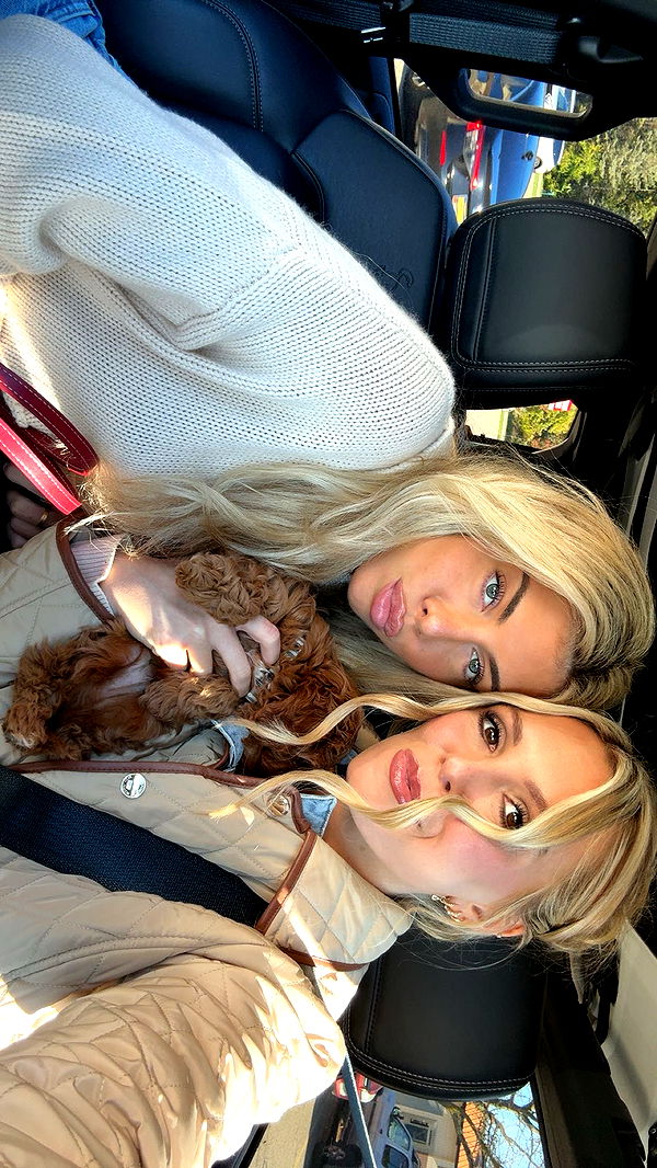 bellarenaldii image ~ Altpins