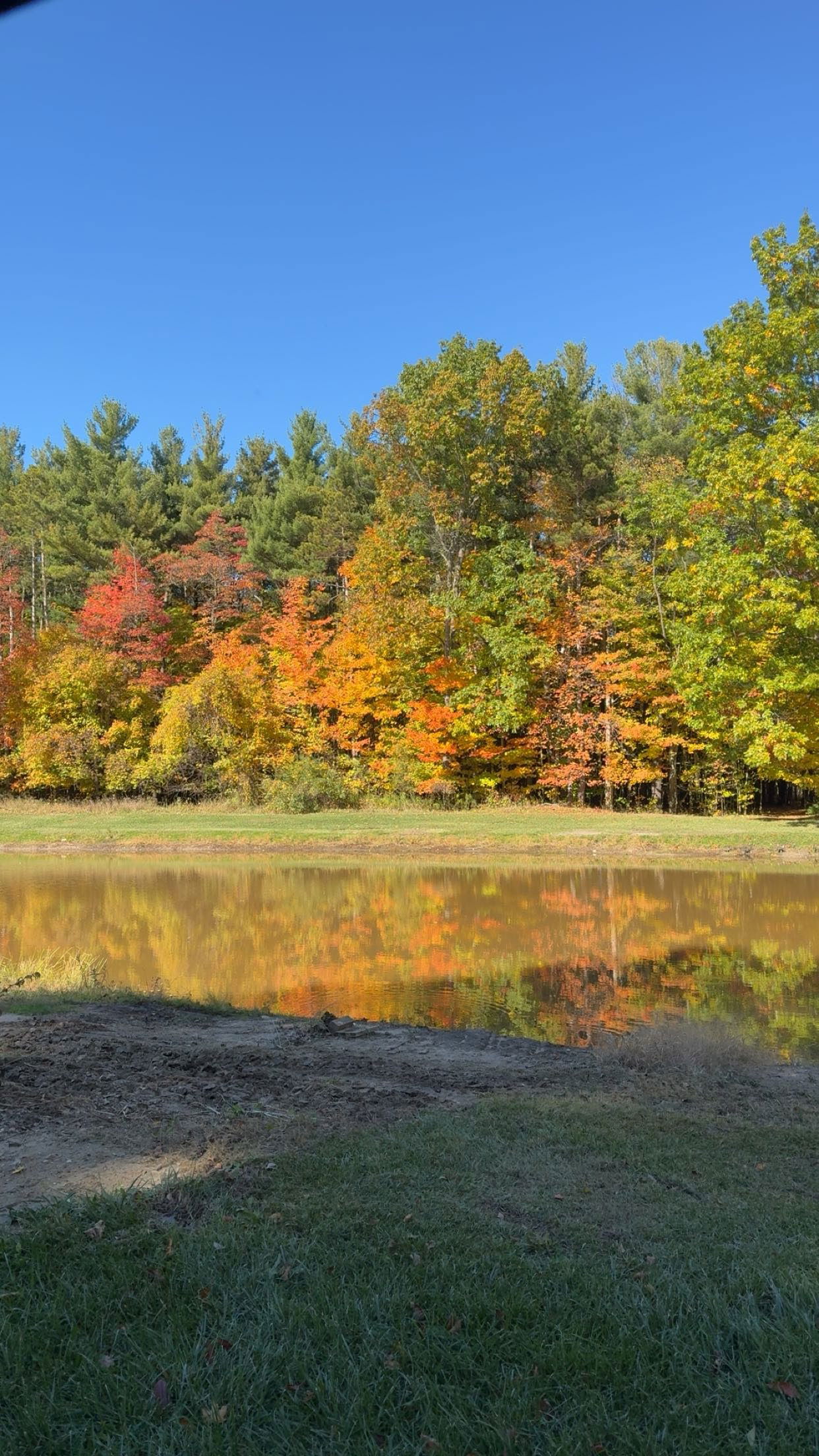 bellarenaldii snapchat image archive image