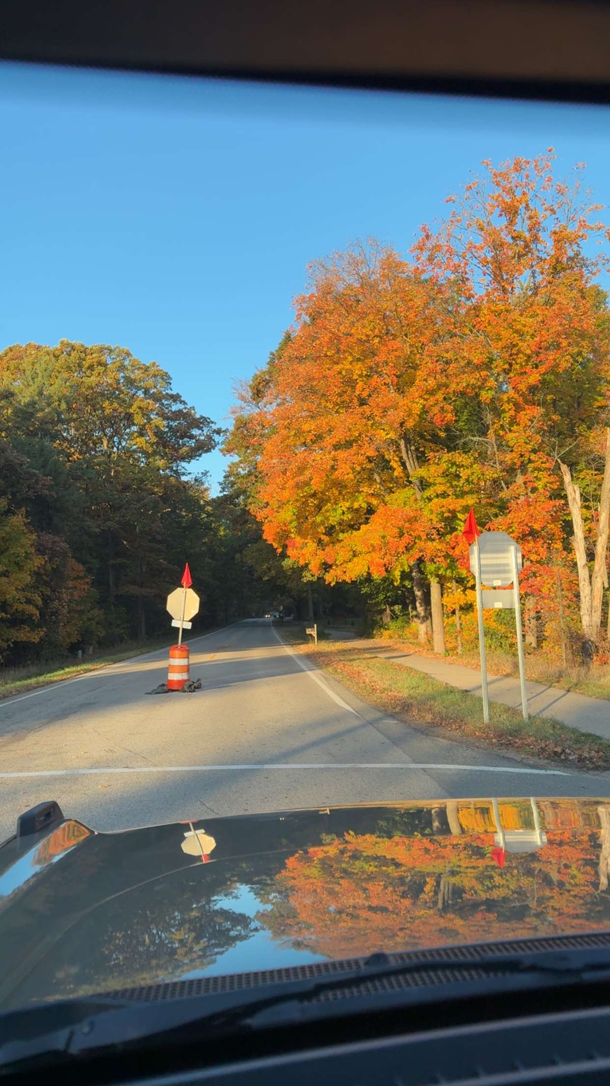 bellarenaldii snapchat image archive image