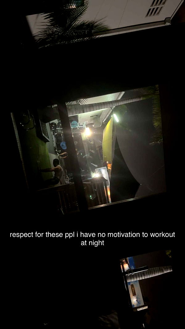 bellarenaldii image ~ Altpins