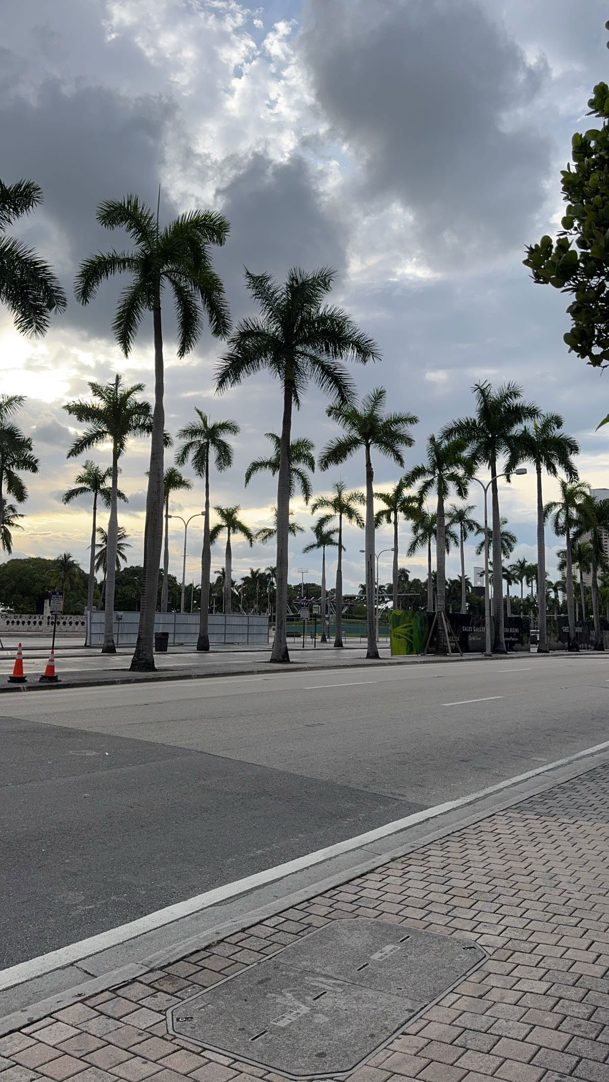 bellarenaldii snapchat image archive image