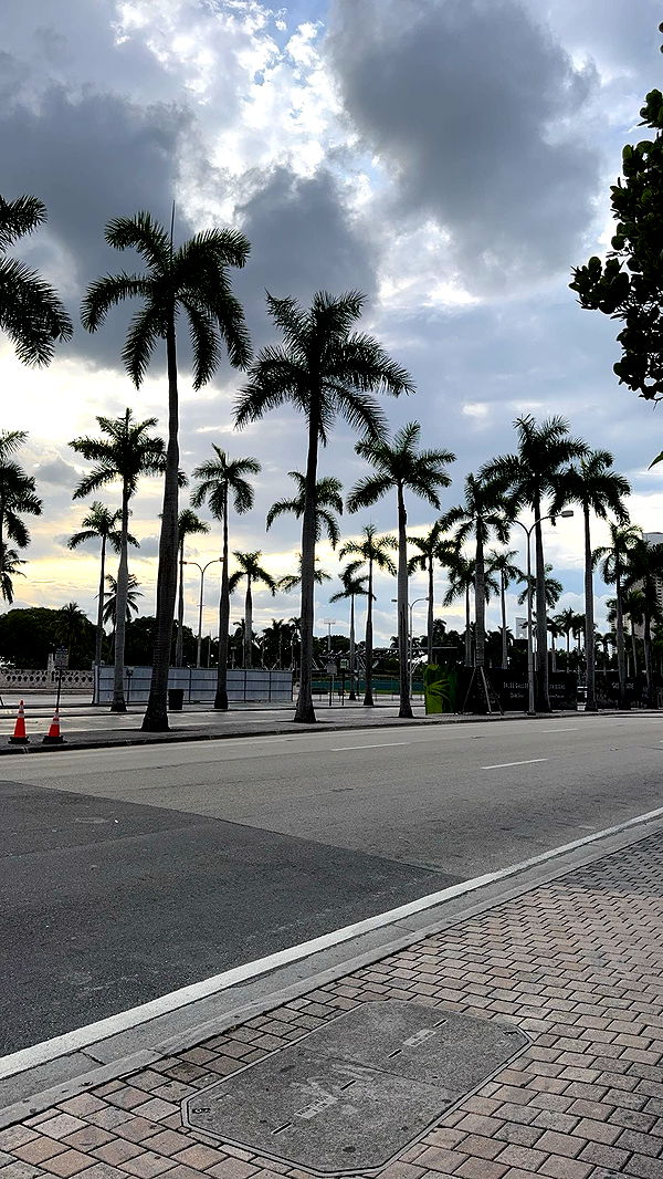 bellarenaldii image ~ Altpins