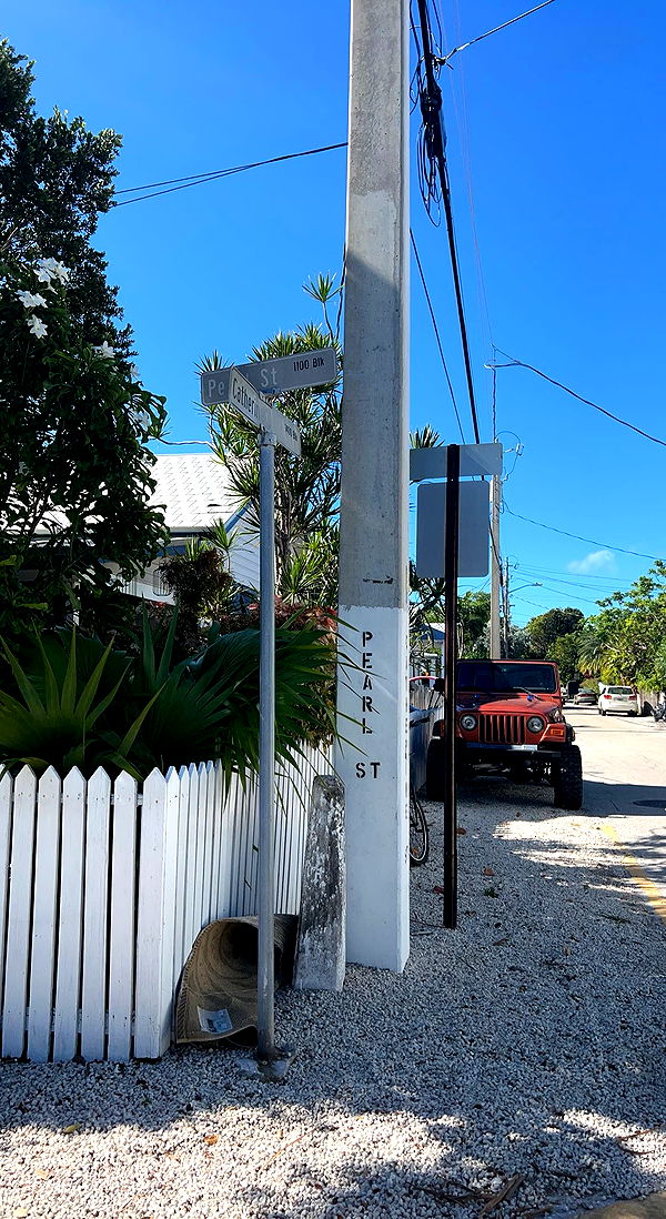 bellarenaldii image ~ Altpins