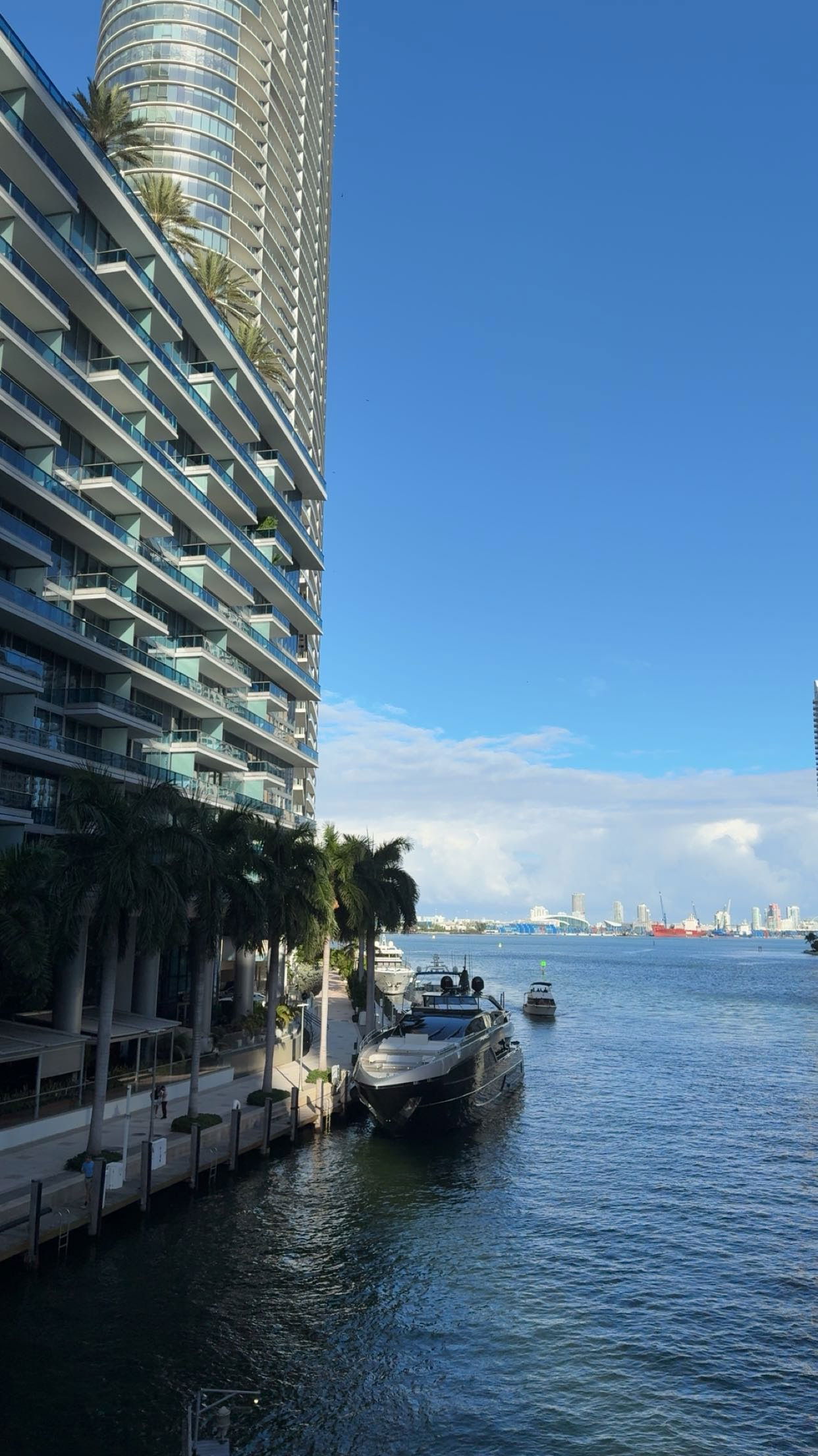 bellarenaldii snapchat image archive image