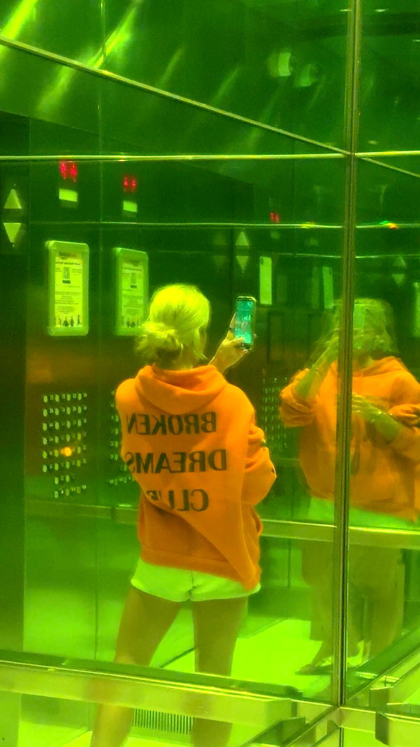 bellarenaldii image ~ Altpins