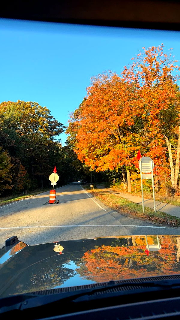 bellarenaldii image ~ Altpins