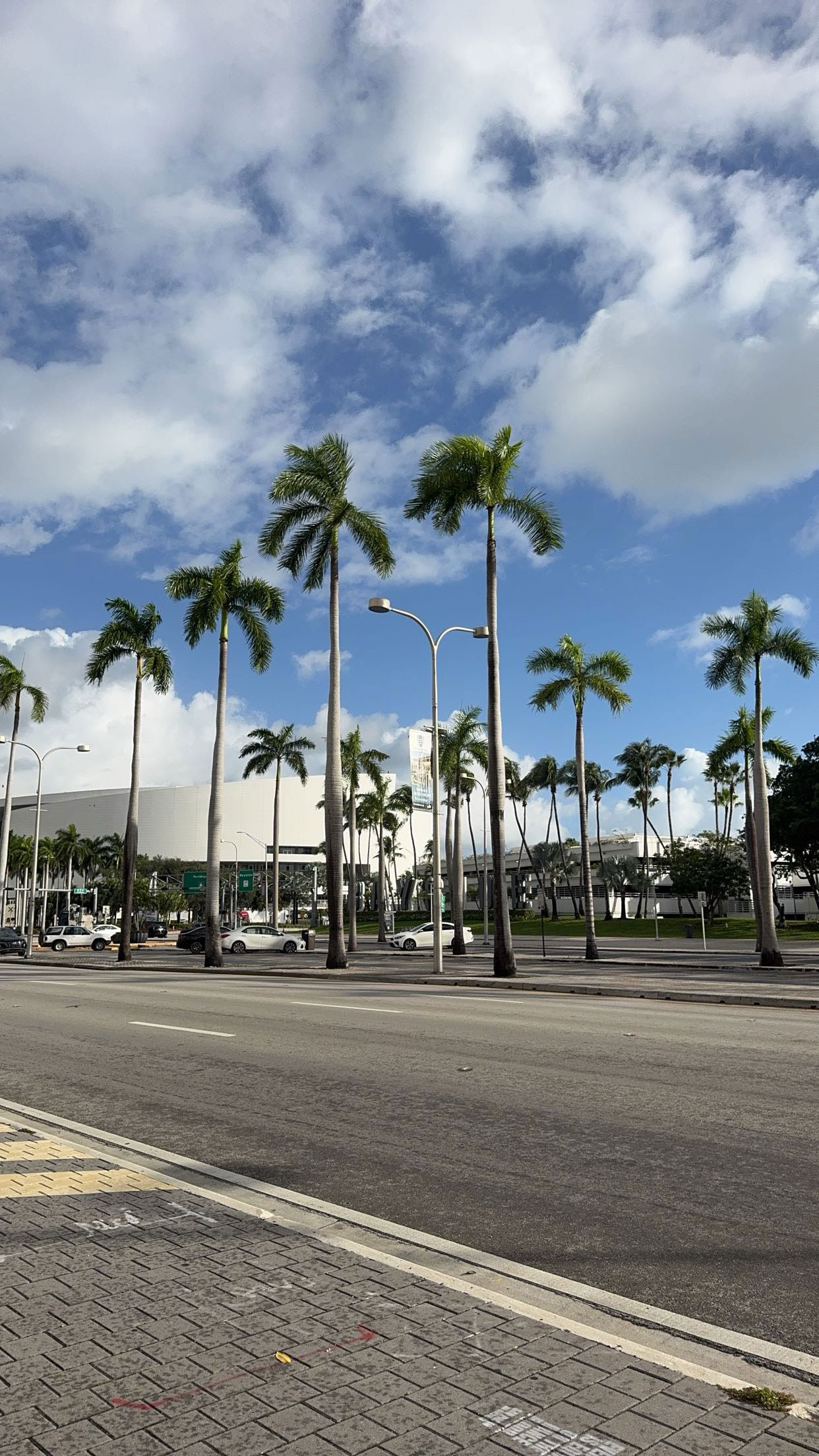 bellarenaldii snapchat image archive image