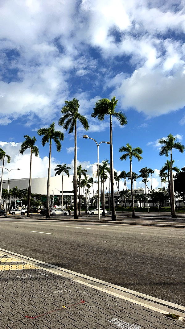 bellarenaldii image ~ Altpins