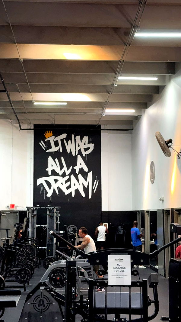 bellarenaldii image ~ Altpins