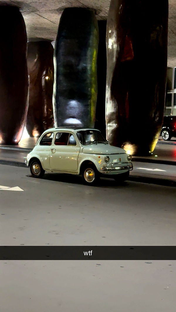 bellarenaldii image ~ Altpins