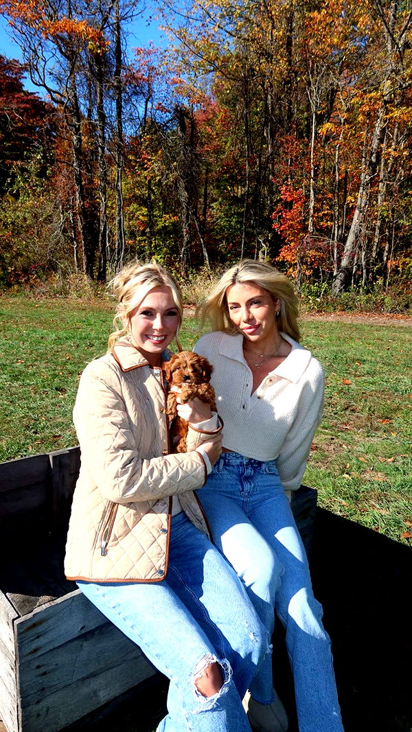 bellarenaldii image ~ Altpins