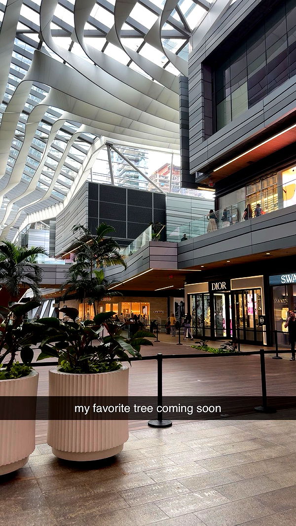 bellarenaldii image ~ Altpins