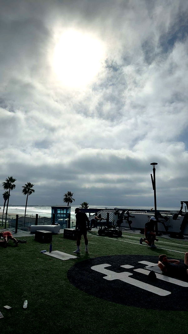 bellarenaldii image ~ Altpins