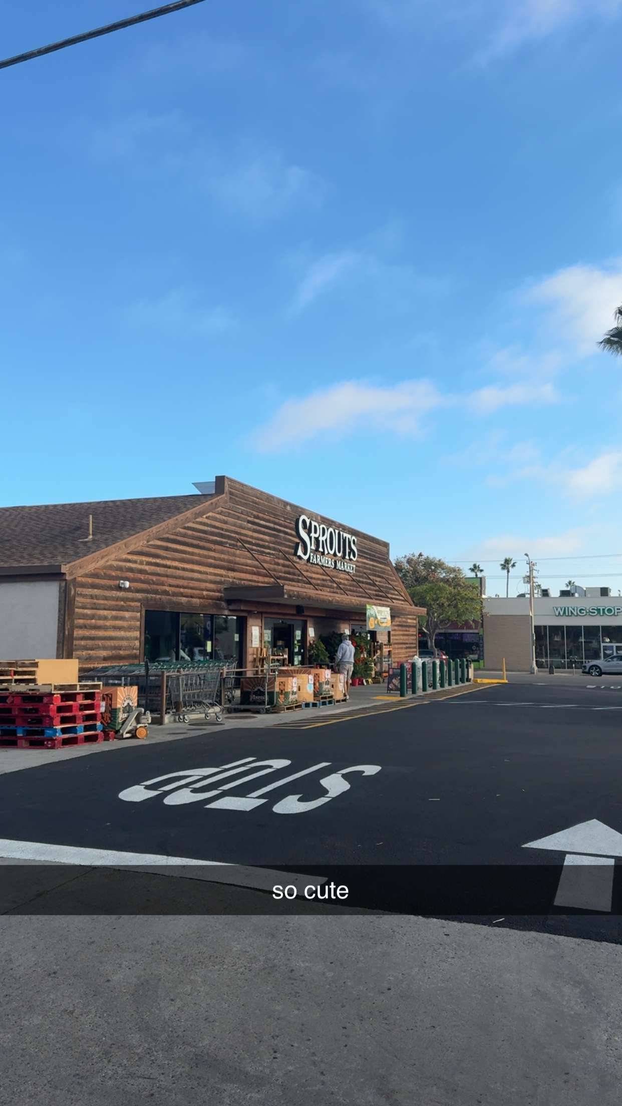 bellarenaldii snapchat image archive image