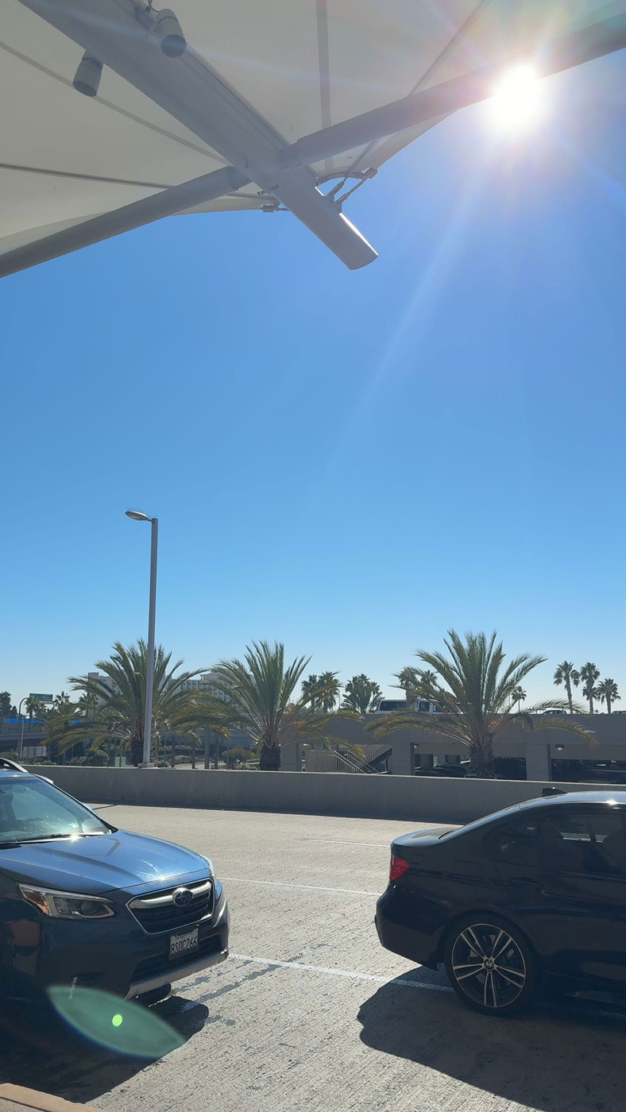 bellarenaldii snapchat image archive image