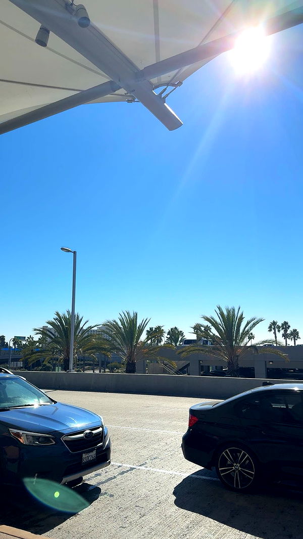 bellarenaldii image ~ Altpins