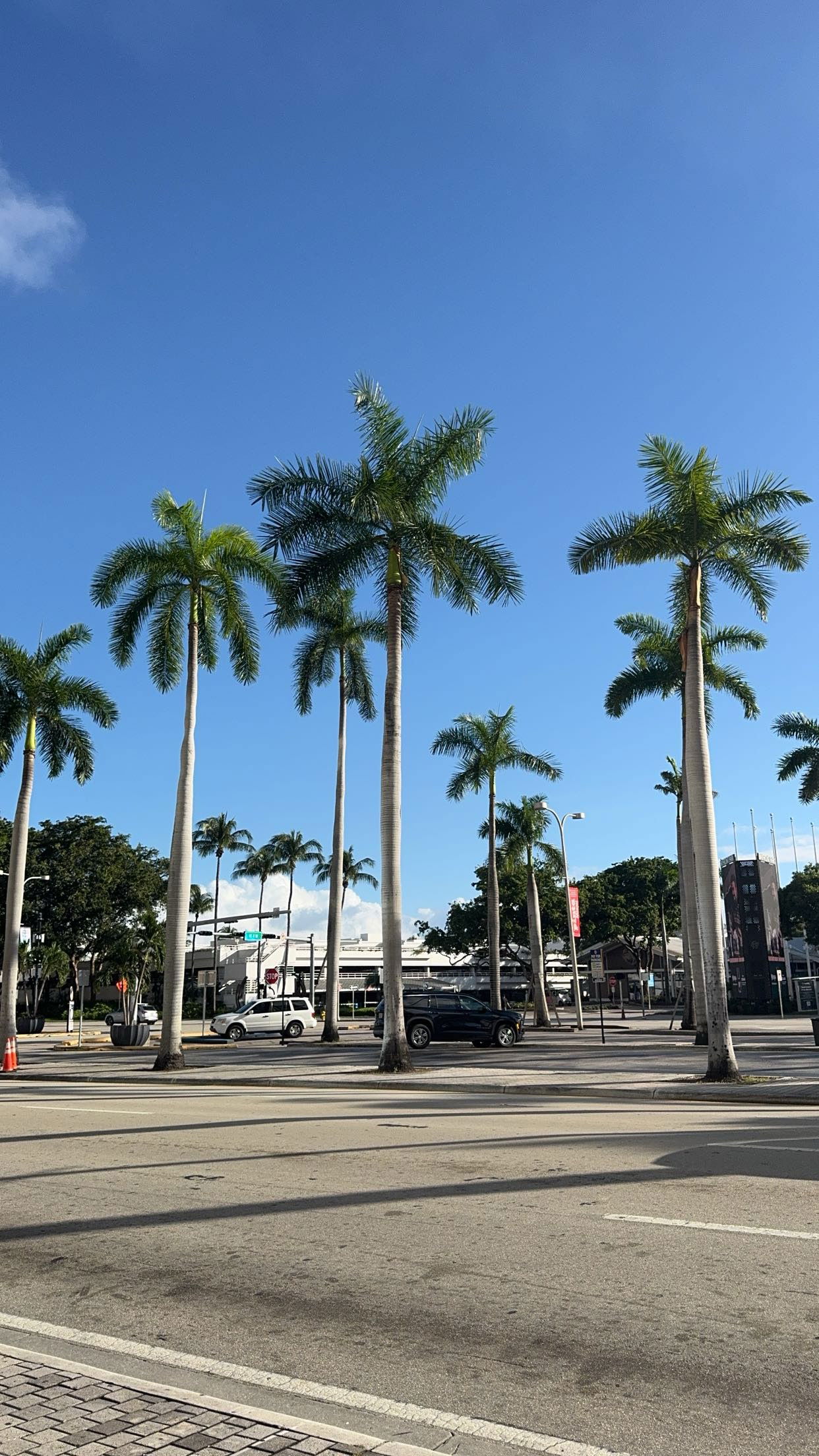 bellarenaldii snapchat image archive image