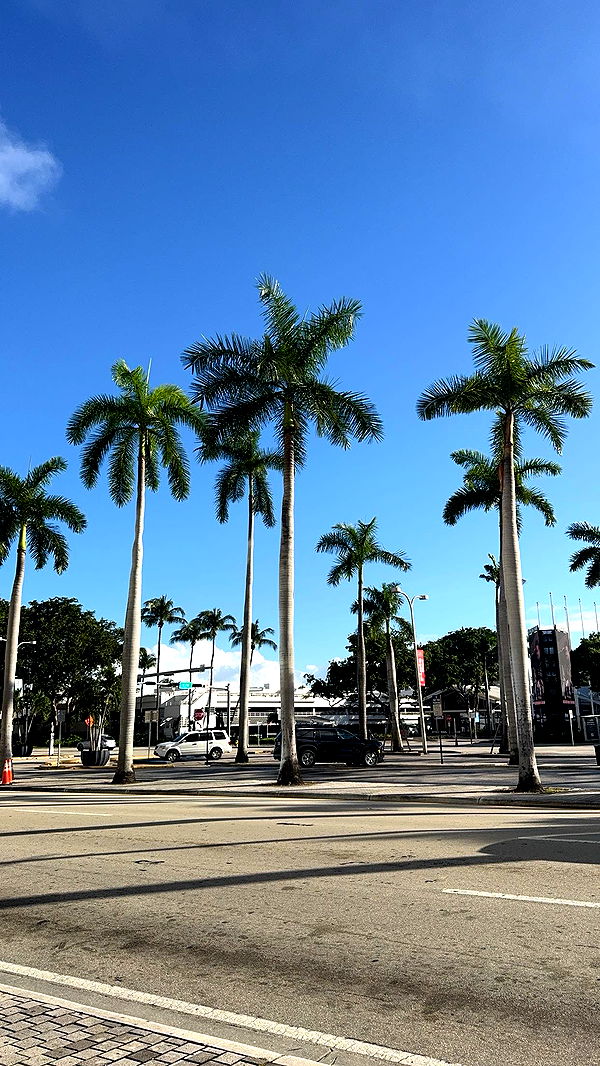 bellarenaldii image ~ Altpins