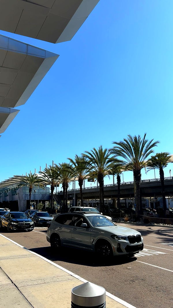 bellarenaldii image ~ Altpins