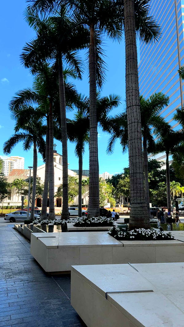 bellarenaldii image ~ Altpins