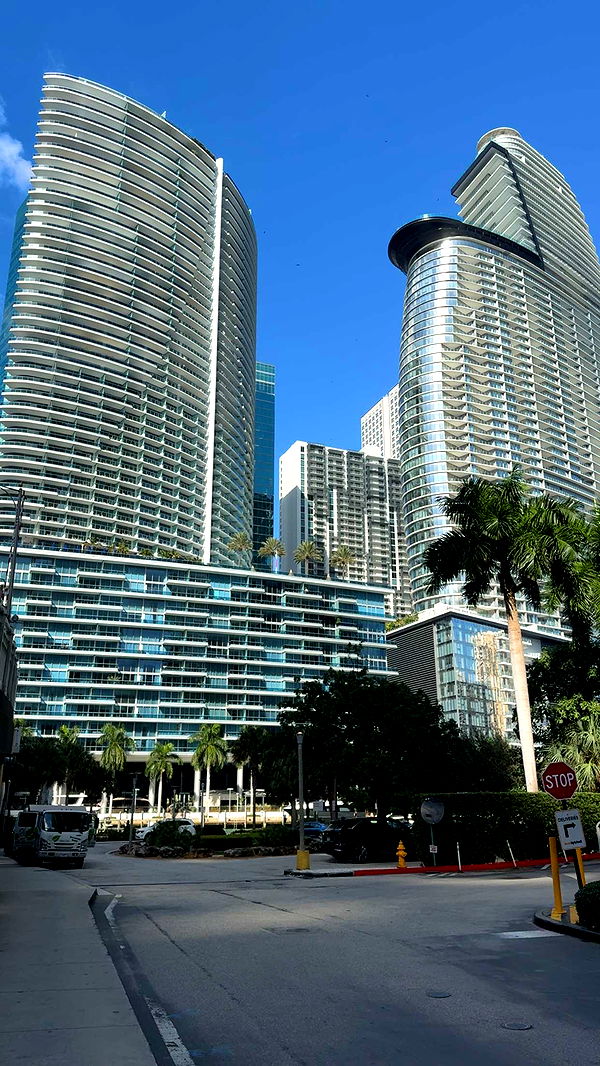 bellarenaldii image ~ Altpins