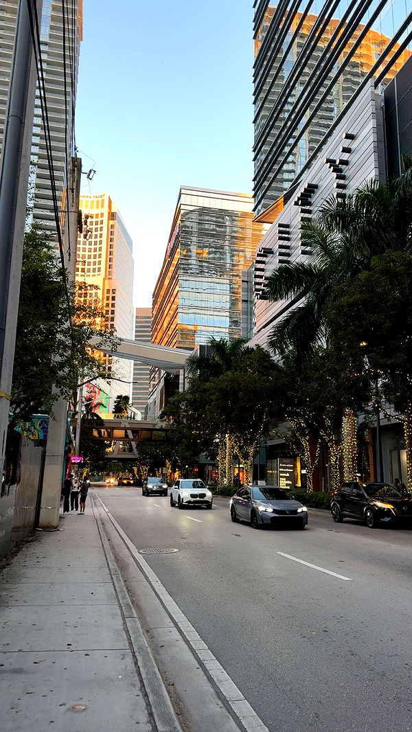 bellarenaldii image ~ Altpins