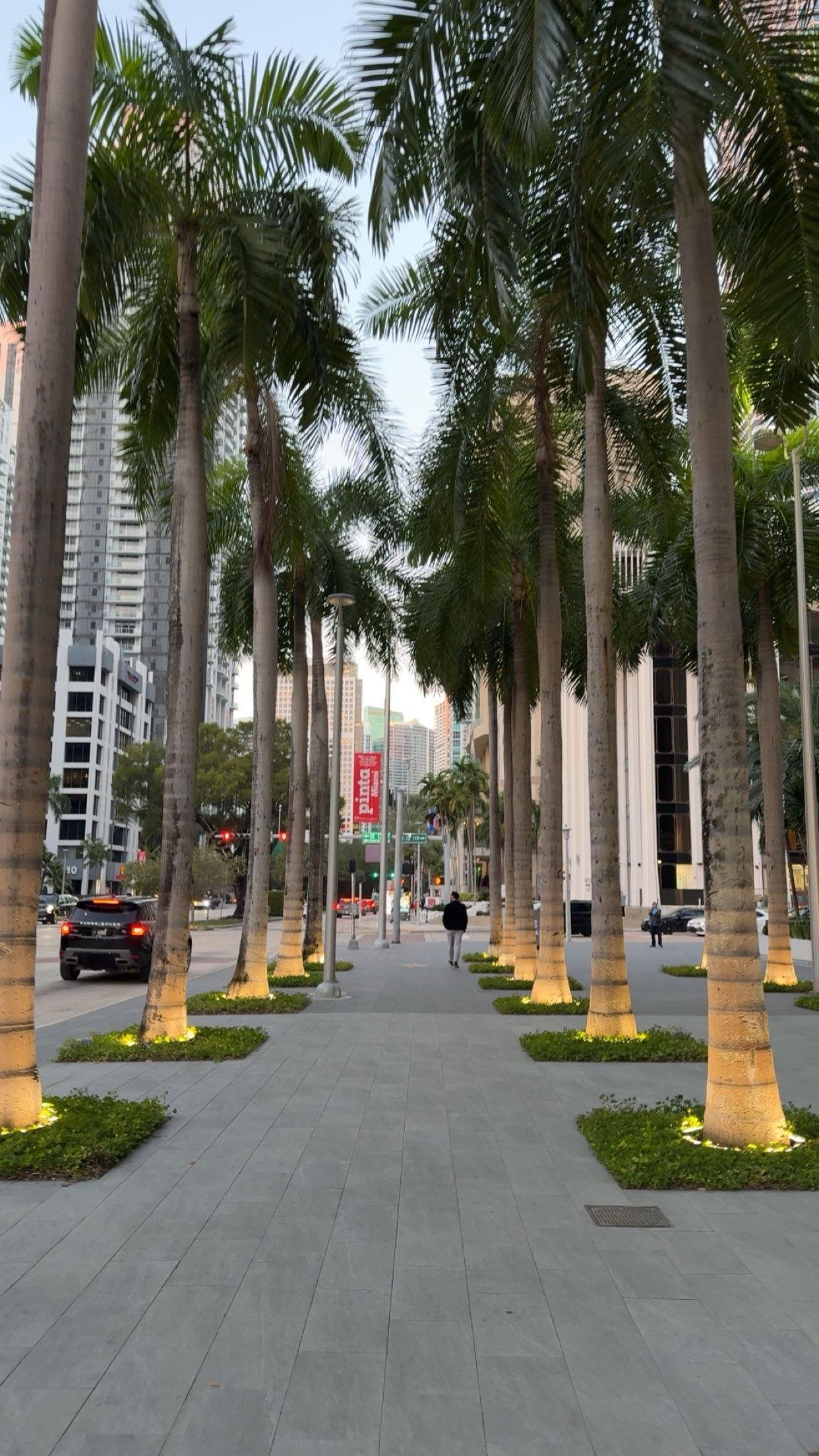 bellarenaldii snapchat image archive image