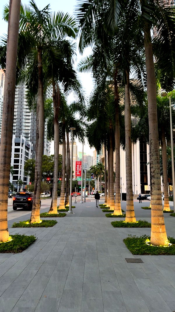 bellarenaldii image ~ Altpins