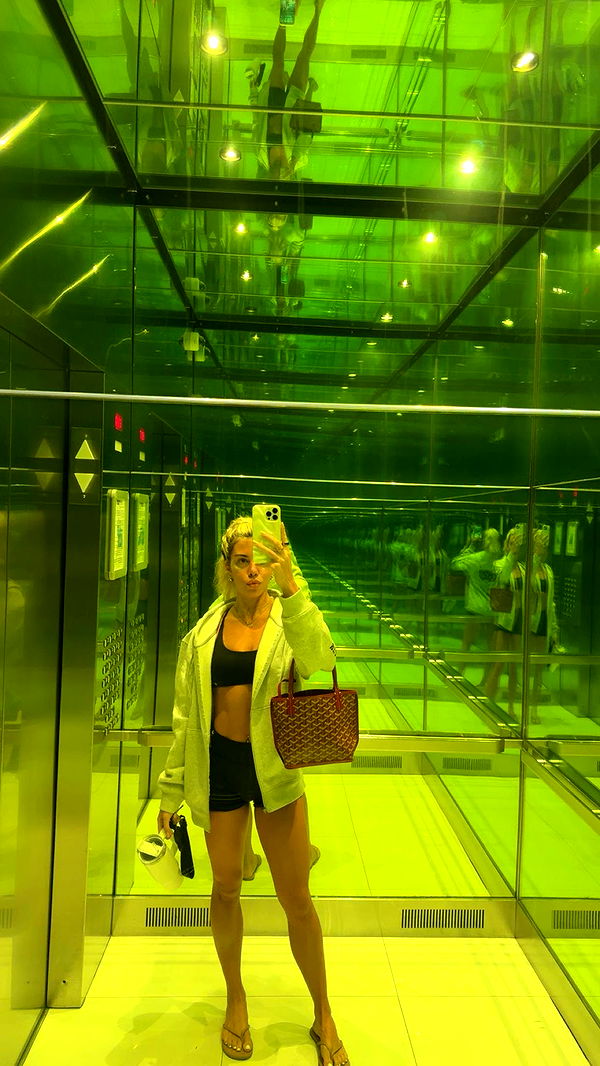 bellarenaldii image ~ Altpins