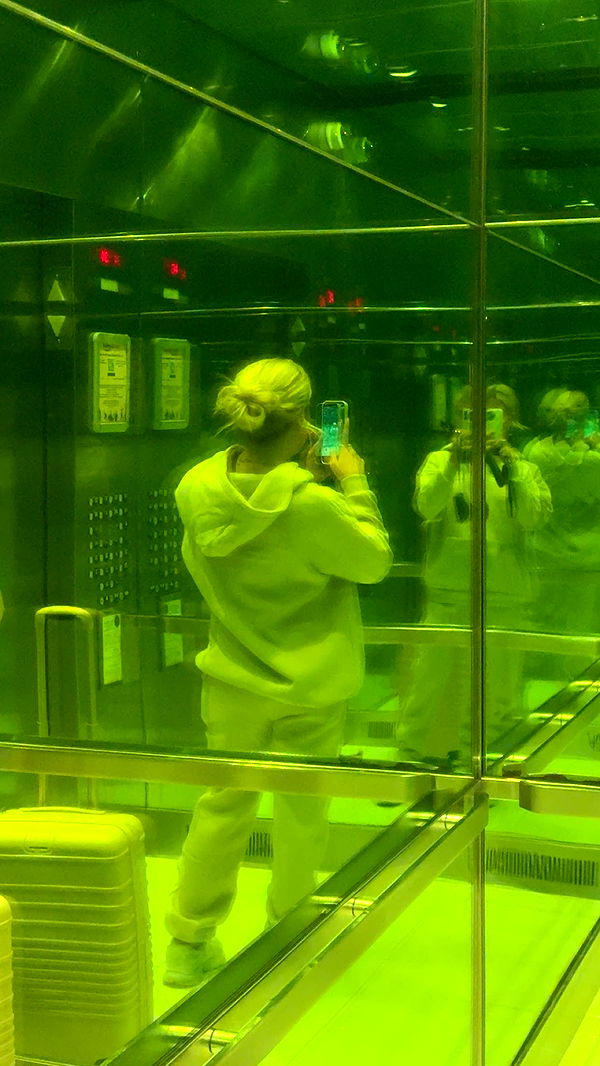 bellarenaldii image ~ Altpins