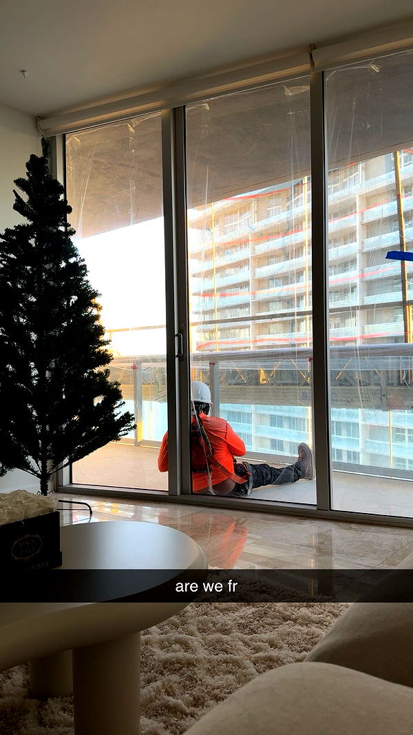 bellarenaldii image ~ Altpins