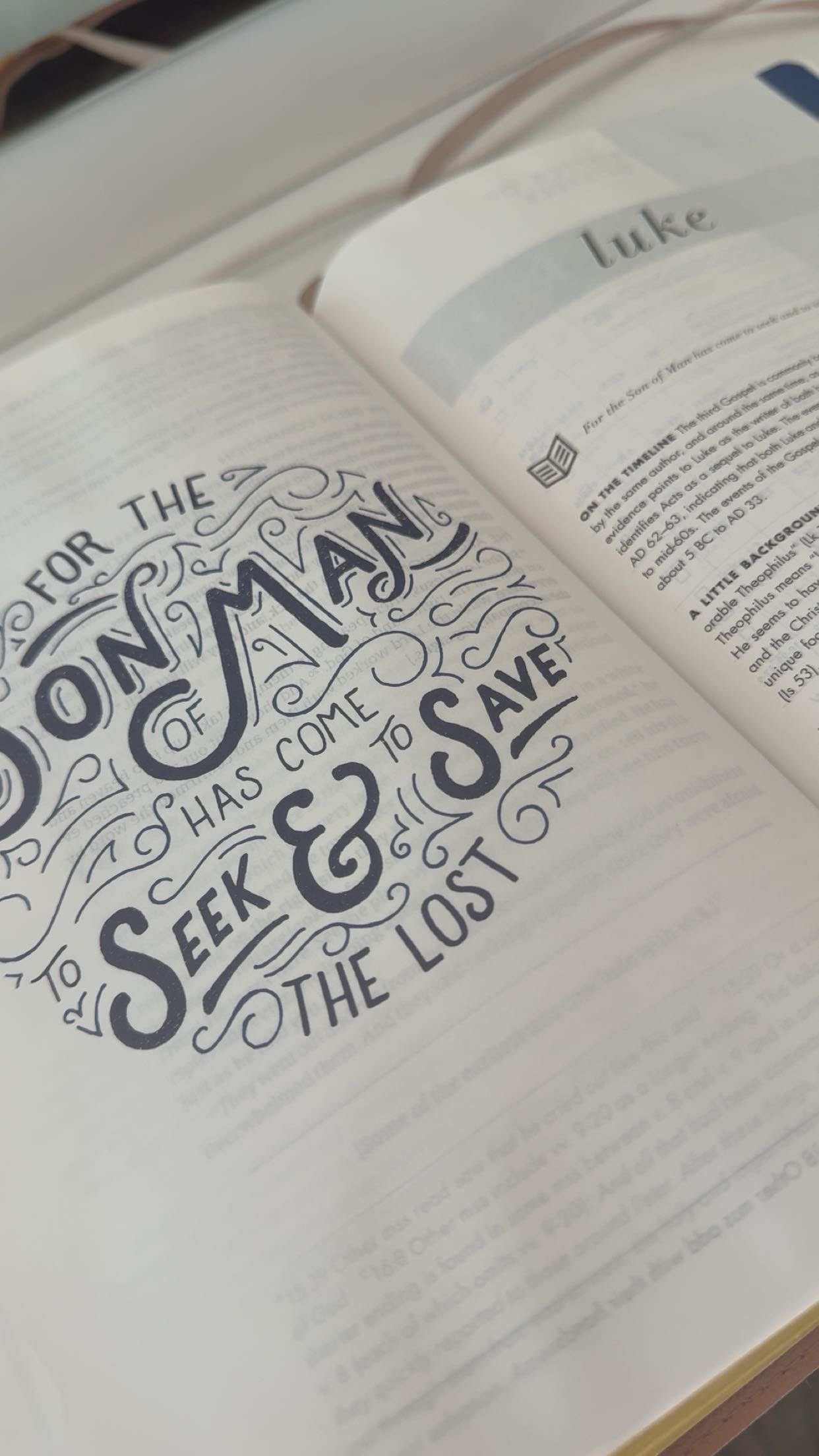 bellarenaldii snapchat image archive image