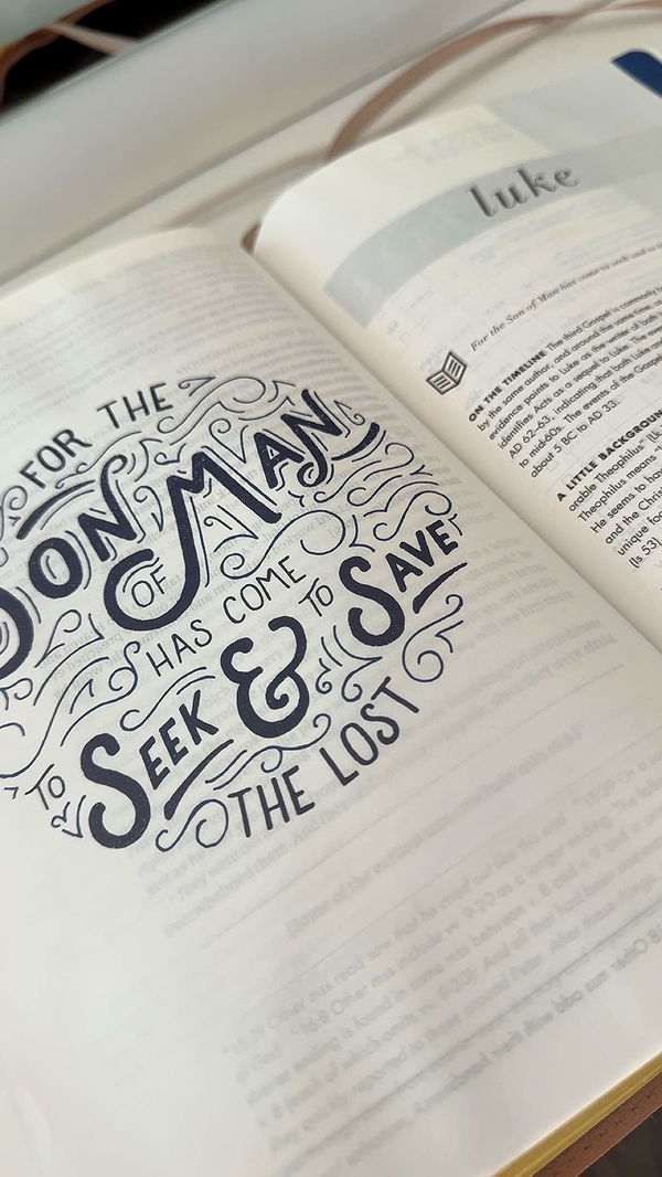 bellarenaldii image ~ Altpins