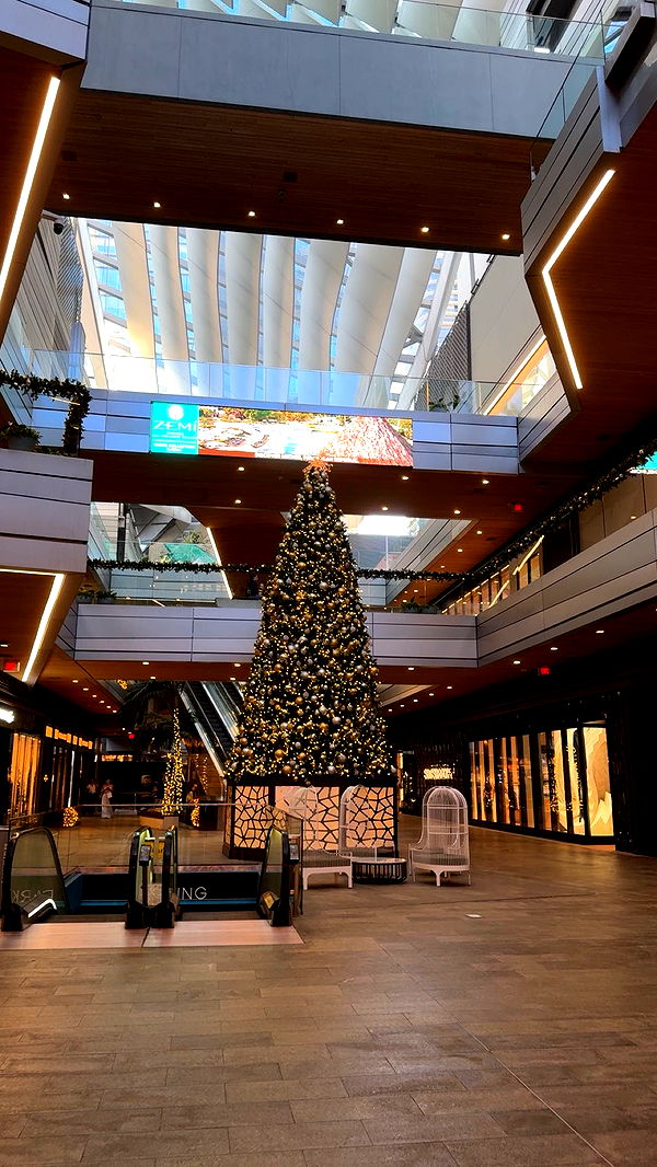 bellarenaldii image ~ Altpins