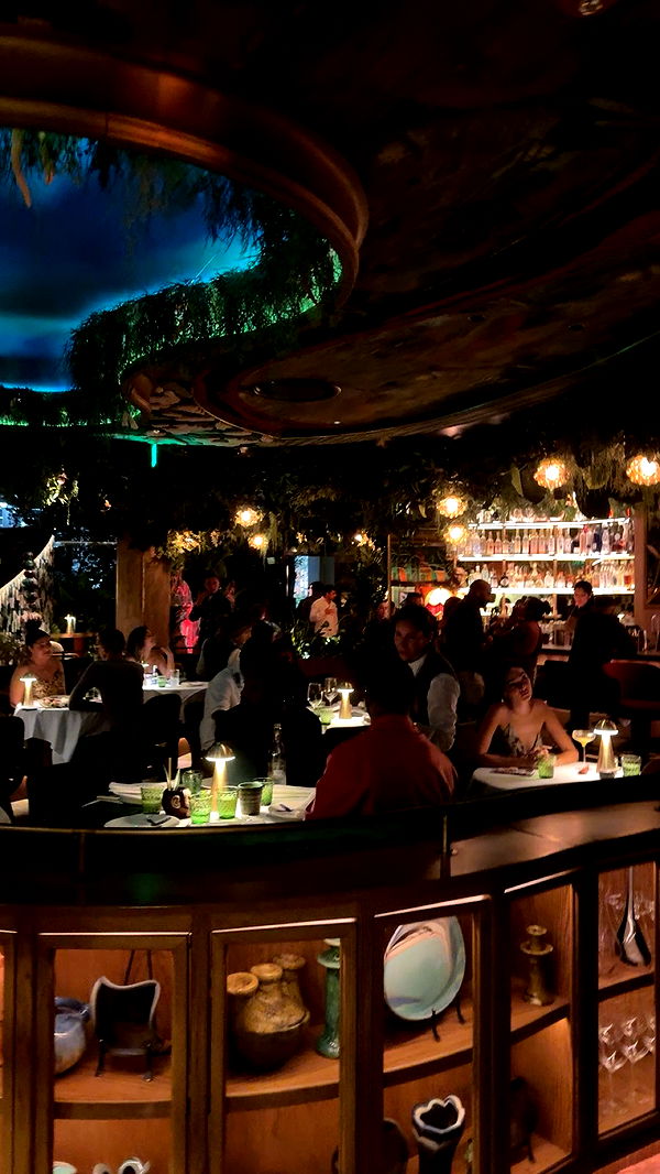 bellarenaldii image ~ Altpins