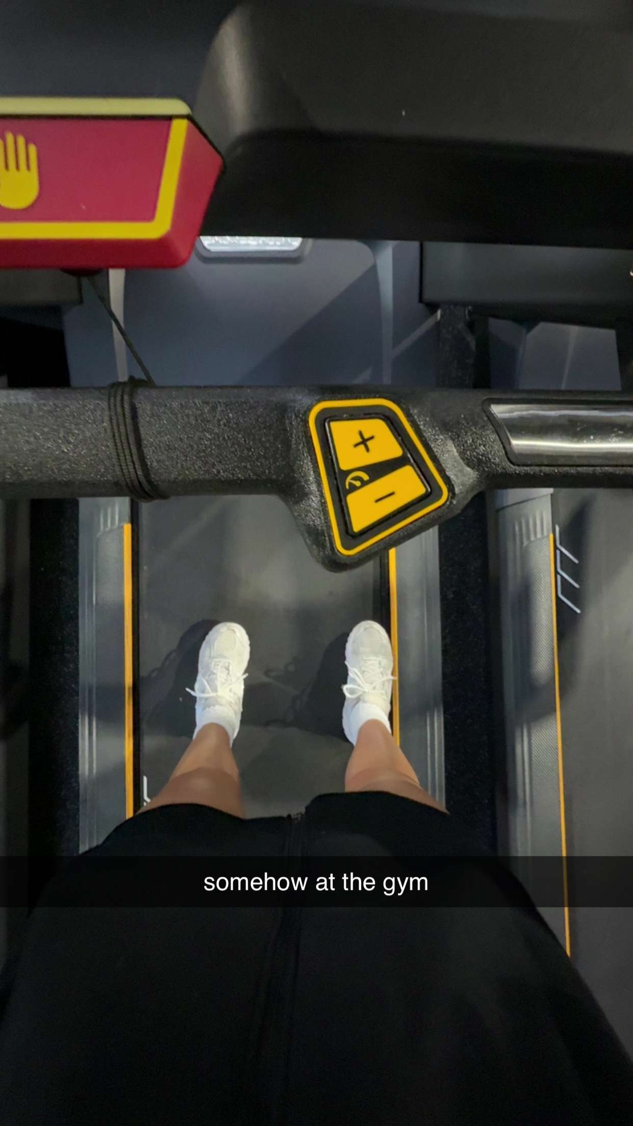 bellarenaldii snapchat image archive image