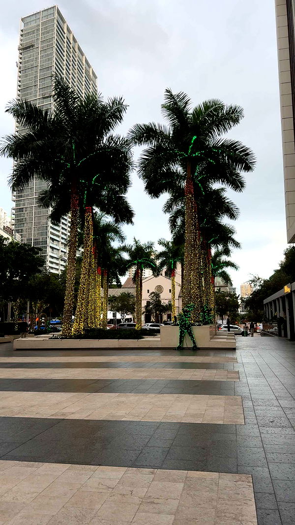 bellarenaldii image ~ Altpins