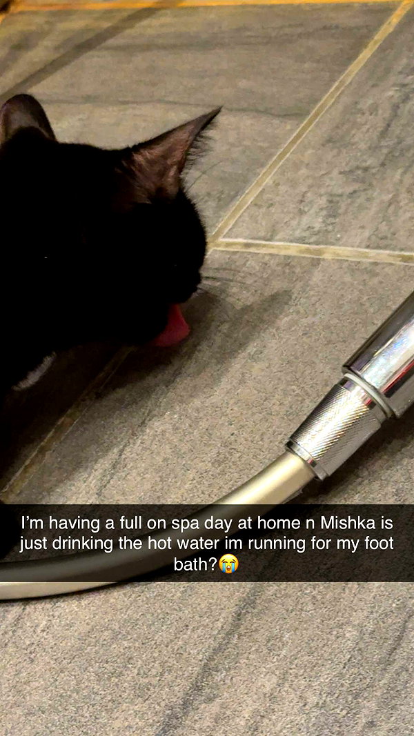 bibblepublic snapchat image archive image