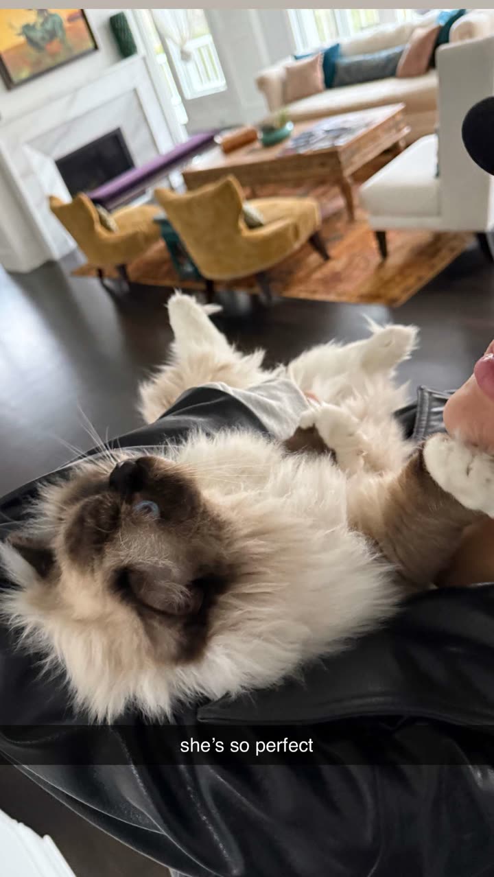 breckiehill snapchat image archive image