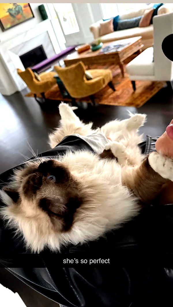 breckiehill image ~ Altpins