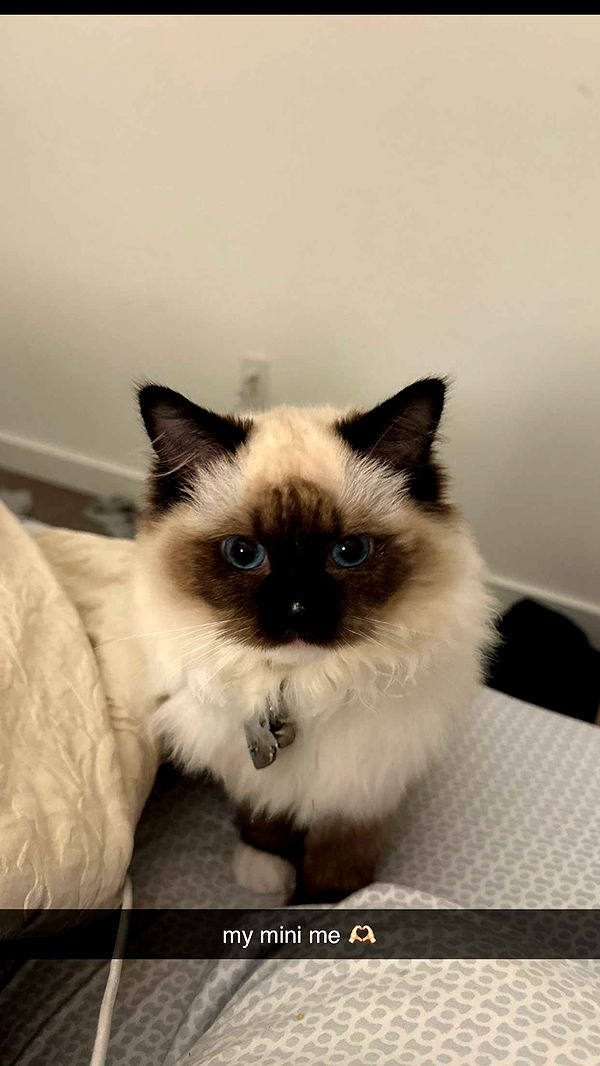 breckiehill image ~ Altpins